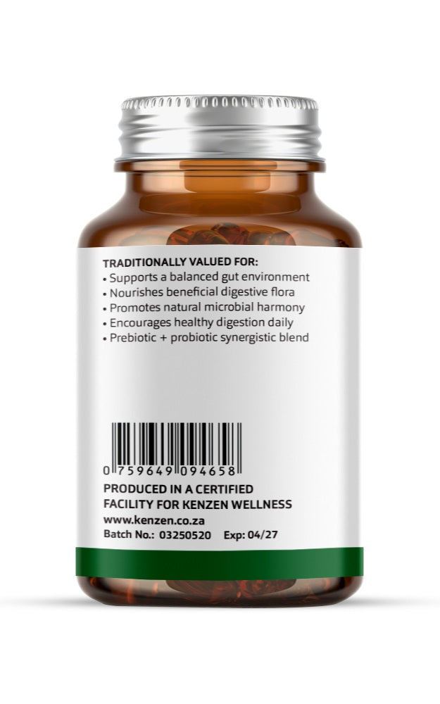 Kenzen Gut Balance Synbiotic – Bacillus Coagulans (LactoSpore®) Probiotic with Chicory Root Prebiotic | Digestive & Microbiome Support | 60 Vegan Capsules