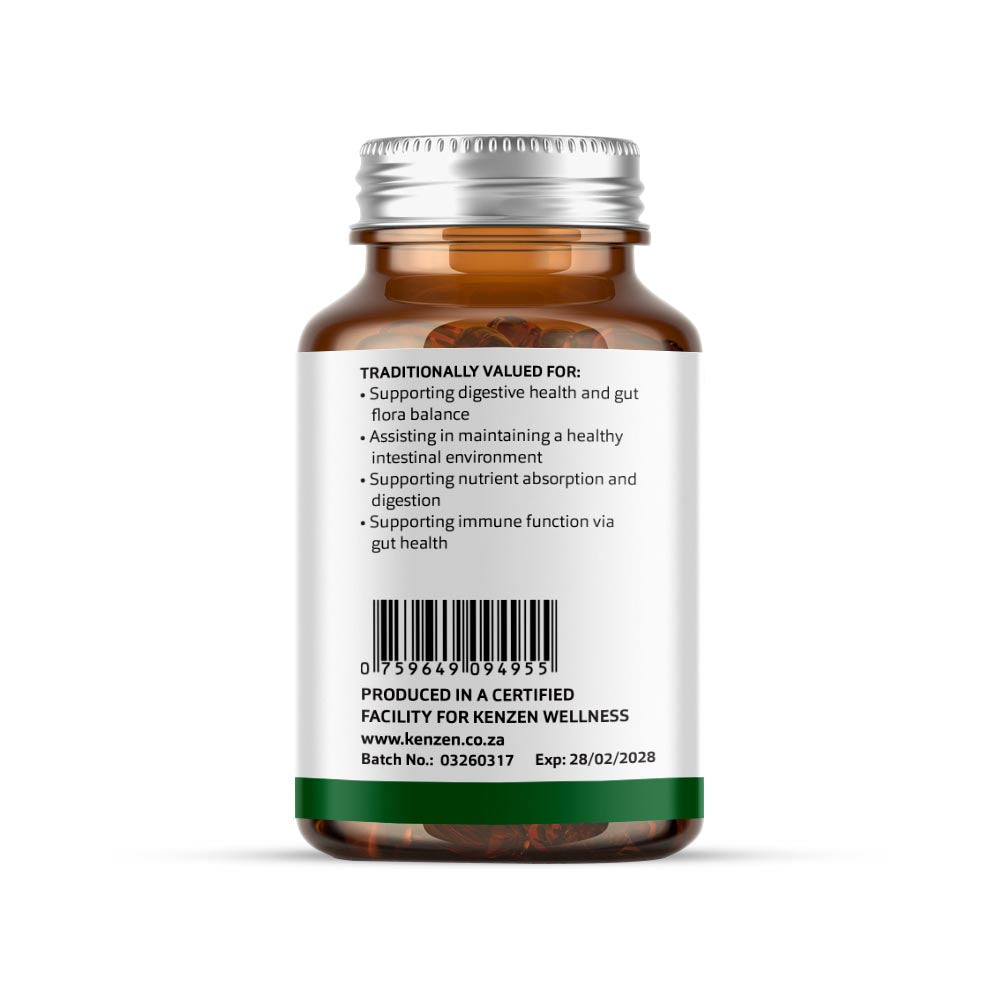 Kenzen Pro-Bio – Bacillus Coagulans (LactoSpore®) Probiotic | 3 Billion CFU Per Capsule (6 Billion Daily) | Digestive & Gut Support | 60 Capsules